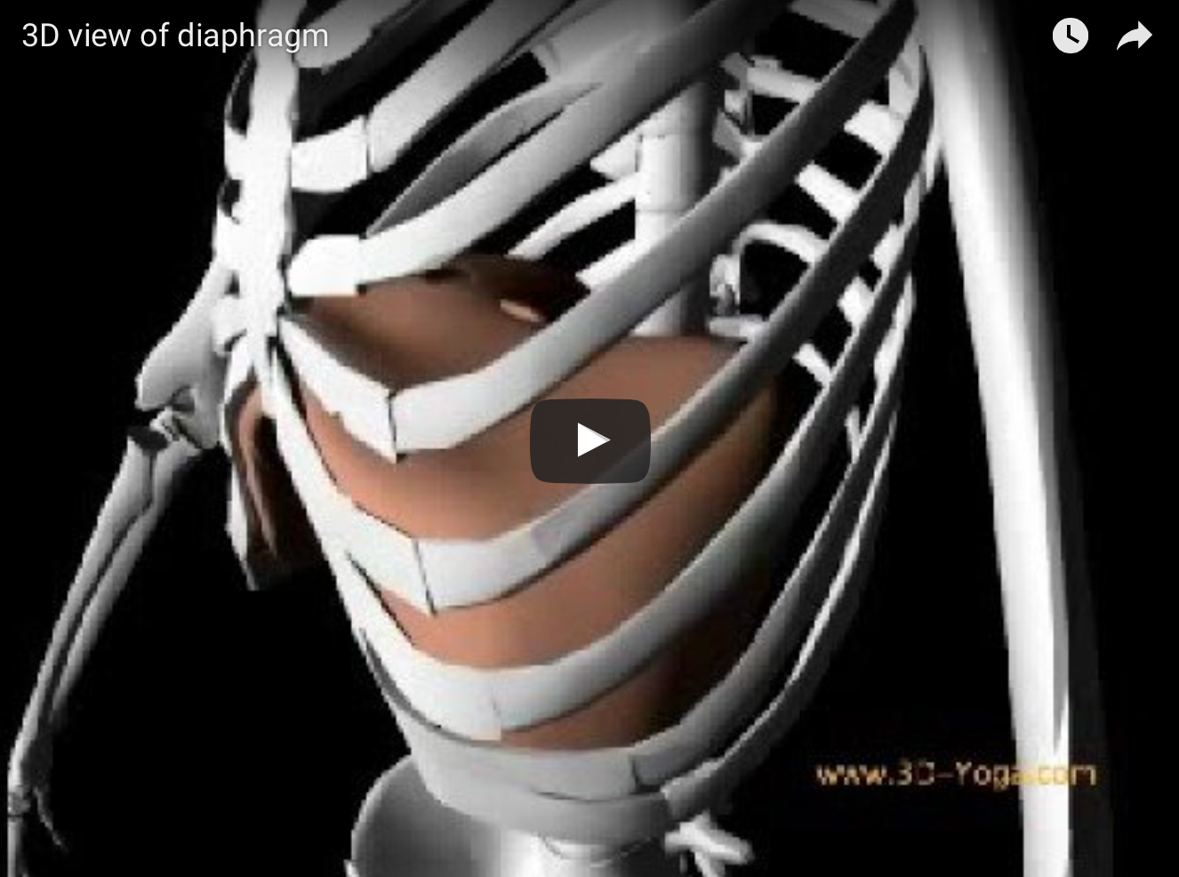 To see the reason I am blogging about this short animation of the diaphragm and rib cage in a...