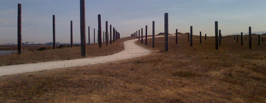 Polehenge